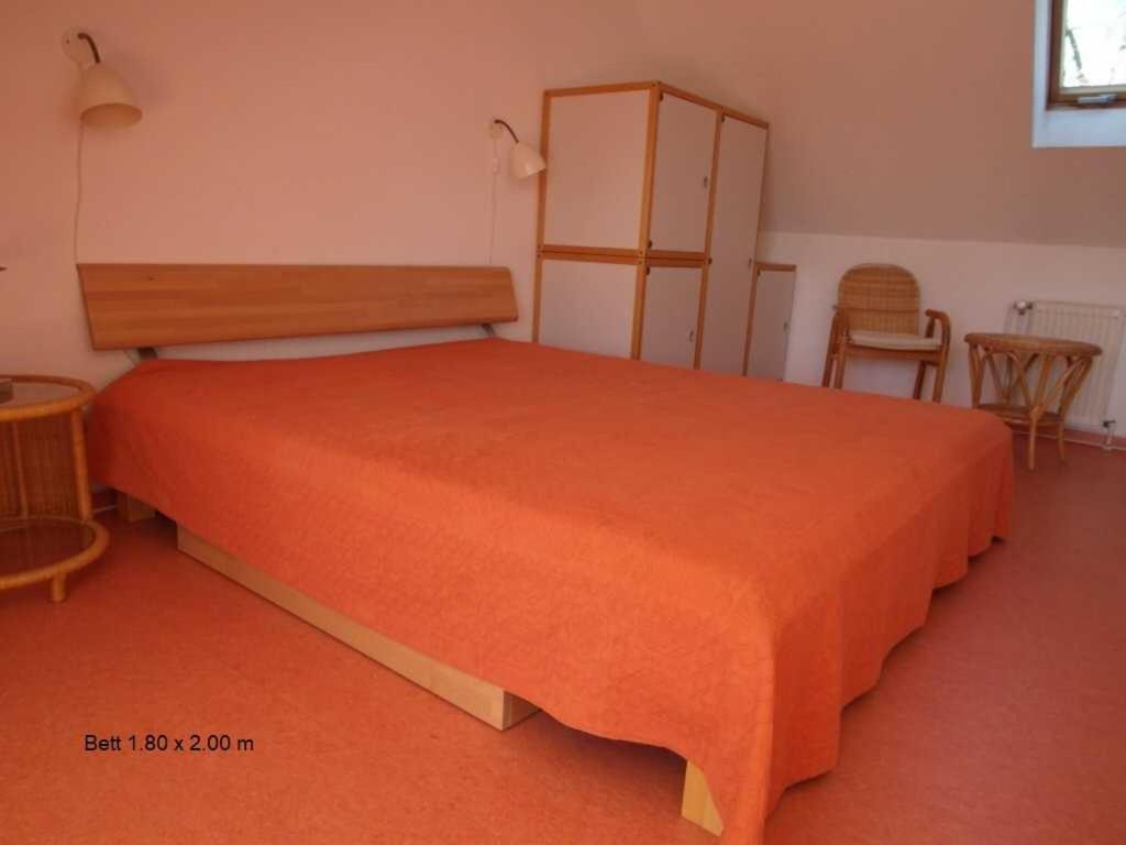 Birkenstrasse 6 I Wohnung 11 Zingst Room photo